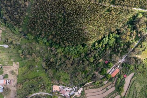 Gård i Monchique, Faro, Monchique - € 1 250 000 | Ref: KWPT-033255 - foto 47