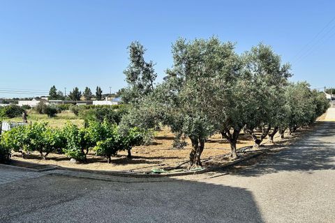 Masia a Beja, Beja, Beja - € 440.000 | Ref: C0486-00240 - foto 23