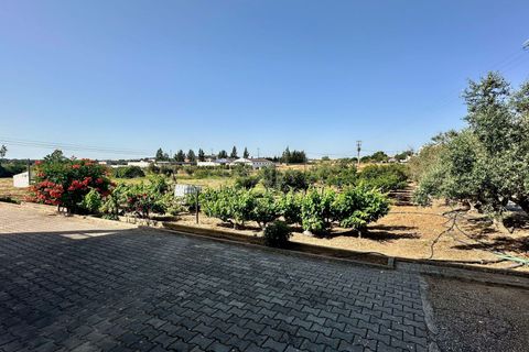 Masia a Beja, Beja, Beja - € 440.000 | Ref: C0486-00240 - foto 29
