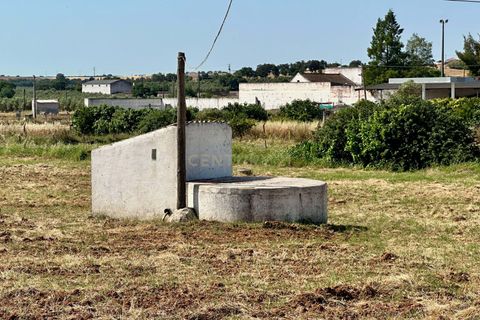 Masia a Beja, Beja, Beja - € 440.000 | Ref: C0486-00240 - foto 30