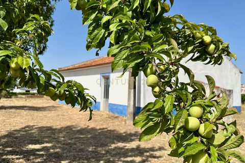 Masia a Beja, Beja, Beja - € 440.000 | Ref: C0486-00240 - foto 31