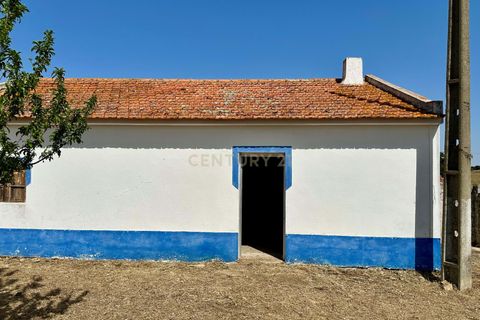 Masia a Beja, Beja, Beja - € 440.000 | Ref: C0486-00240 - foto 33