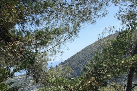 Terra a Falicon, Alpes-Maritimes, Falicon - € 630.000 | Ref: 87019825 - foto 3