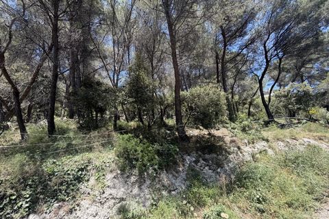Terra a Falicon, Alpes-Maritimes, Falicon - € 630.000 | Ref: 87019825 - foto 4