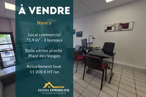 Erhvervsejendom i Nancy, Meurthe-et-Moselle, Nancy - € 149.000 | Ref: WBVCO20000229 - foto 3