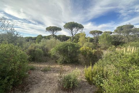 Helårsgrund i Frejus, Var, Frejus - € 240.000 | Ref: 12797A - foto 4