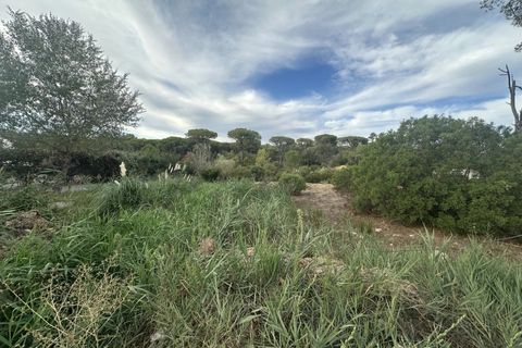 Helårsgrund i Frejus, Var, Frejus - € 240.000 | Ref: 12797A - foto 5