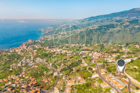 Villa a Ribeira Brava, Madeira, Ribeira Brava - € 1.535.000 | Ref: HAB_3 - foto 50