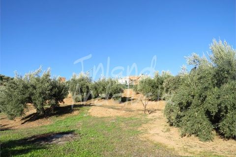 Villa em La Carrasca, Jaen, La Carrasca - € 137.000 | Ref: CH485 - foto 7