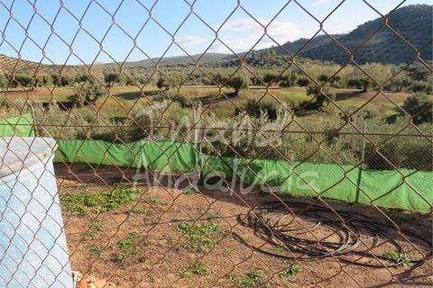 Villa em La Carrasca, Jaen, La Carrasca - € 137.000 | Ref: CH485 - foto 8