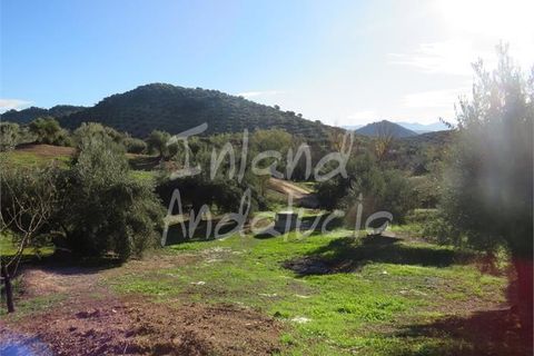 Villa em La Carrasca, Jaen, La Carrasca - € 137.000 | Ref: CH485 - foto 16