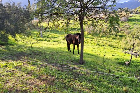 Finca i Entrerrios, Malaga, Entrerrios - € 1.195.000 | Ref: R5397853 - foto 31