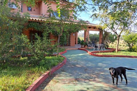 Finca i Entrerrios, Malaga, Entrerrios - € 1.195.000 | Ref: R5397853 - foto 38