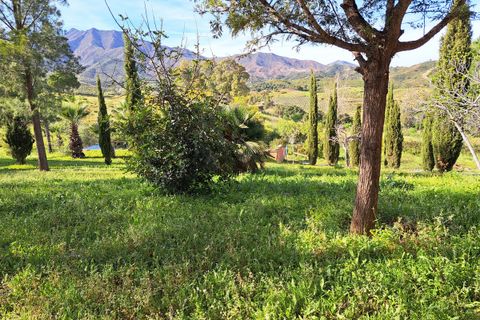 Finca i Entrerrios, Malaga, Entrerrios - € 1.195.000 | Ref: R5397853 - foto 40