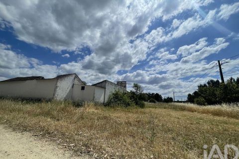 Byhus i Almeirim, Santarem, Almeirim - € 75.000 | Ref: 929916 - foto 4