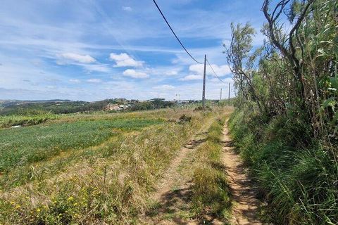 Helårsgrund i Mafra, Lisbon, Mafra - € 149.000 | Ref: 914934 - foto 5