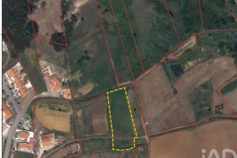 Helårsgrund i Mafra, Lisbon, Mafra - € 149.000 | Ref: 914934 - foto 19