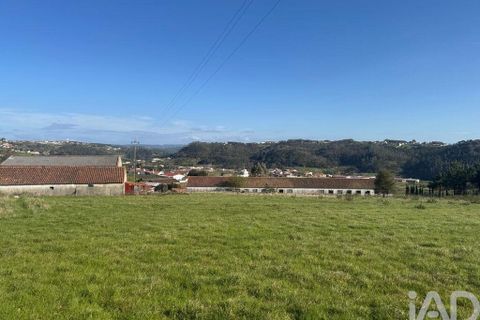 Helårsgrund i Alcobaca, Leiria, Alcobaca - € 600.000 | Ref: 933293 - foto 8