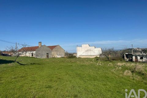 Helårsgrund i Alcobaca, Leiria, Alcobaca - € 600.000 | Ref: 933293 - foto 9