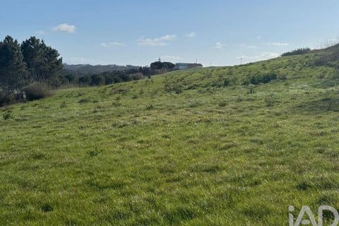 Helårsgrund i Alcobaca, Leiria, Alcobaca - € 600.000 | Ref: 933293 - foto 10