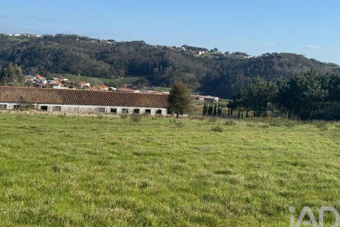 Helårsgrund i Alcobaca, Leiria, Alcobaca - € 600.000 | Ref: 933293 - foto 4