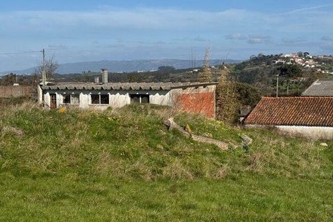 Helårsgrund i Alcobaca, Leiria, Alcobaca - € 600.000 | Ref: 933293 - foto 11