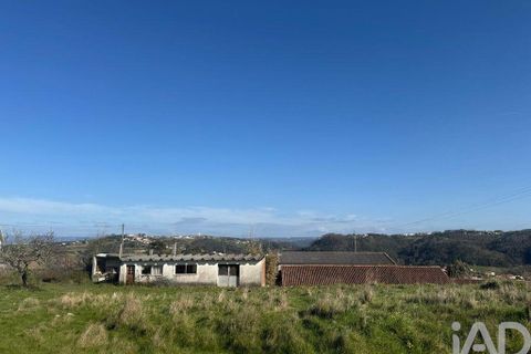 Helårsgrund i Alcobaca, Leiria, Alcobaca - € 600.000 | Ref: 933293 - foto 7
