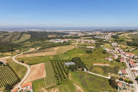 Helårsgrund i Alcobaca, Leiria, Alcobaca - € 600.000 | Ref: 933293 - foto 3
