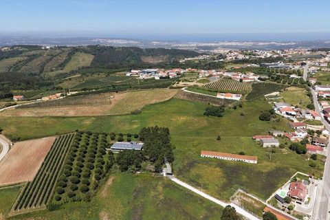 Helårsgrund i Alcobaca, Leiria, Alcobaca - € 600.000 | Ref: 933293 - foto 15
