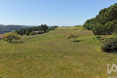 Helårsgrund i Alcobaca, Leiria, Alcobaca - € 600.000 | Ref: 933293 - foto 16