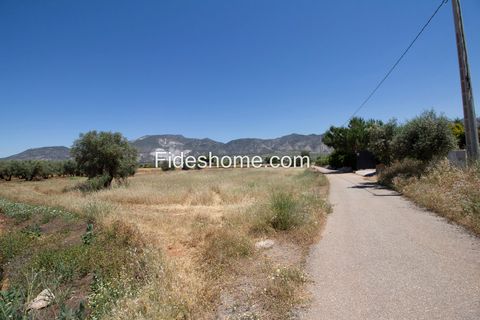 Helårsgrund i Cozvijar, Granada - foto 1