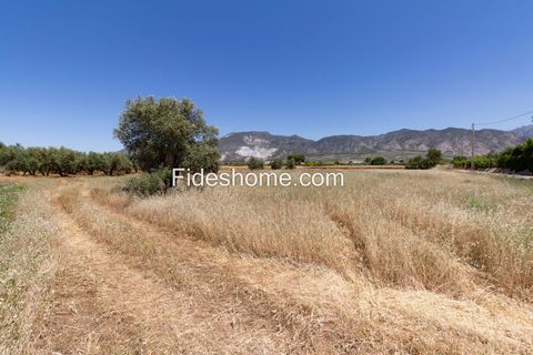 Helårsgrund i Cozvijar, Granada - foto 2
