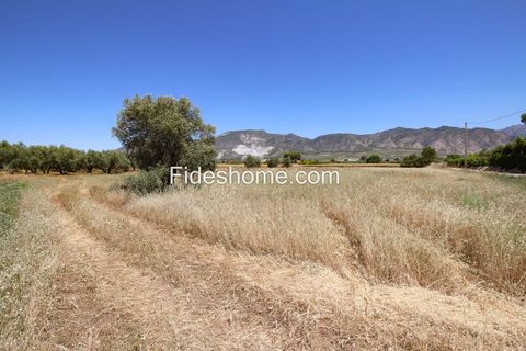 Helårsgrund i Cozvijar, Granada - foto 4
