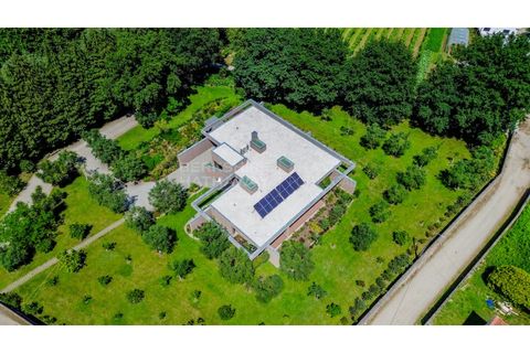 Farm i Barroselas, Viana do Castelo, Barroselas - € 3.690.000 | Ref: MAS_1373 - foto 3