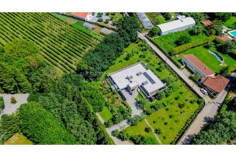 Farm i Barroselas, Viana do Castelo, Barroselas - € 3.690.000 | Ref: MAS_1373 - foto 5