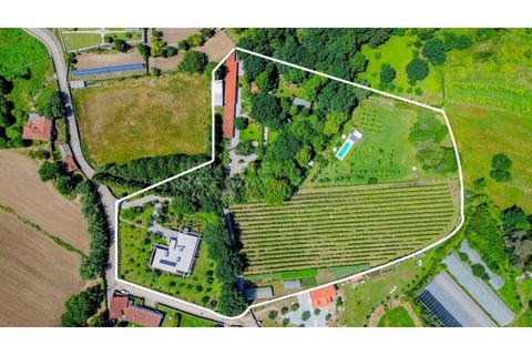 Farm i Barroselas, Viana do Castelo, Barroselas - € 3.690.000 | Ref: MAS_1373 - foto 6