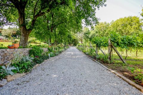 Farm i Barroselas, Viana do Castelo, Barroselas - € 3.690.000 | Ref: MAS_1373 - foto 7