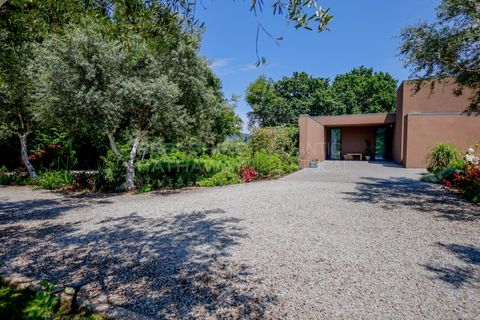 Farm i Barroselas, Viana do Castelo, Barroselas - € 3.690.000 | Ref: MAS_1373 - foto 9