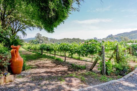 Farm i Barroselas, Viana do Castelo, Barroselas - € 3.690.000 | Ref: MAS_1373 - foto 36