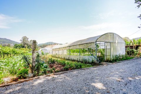 Farm i Barroselas, Viana do Castelo, Barroselas - € 3.690.000 | Ref: MAS_1373 - foto 41