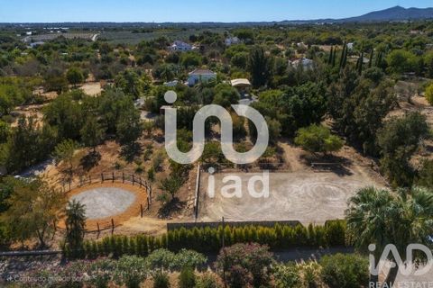 Byhus i Tavira, Faro, Tavira - € 1.399.000 | Ref: 148370 - foto 3