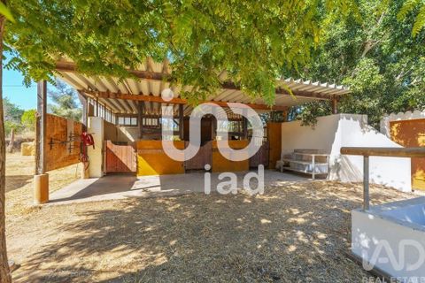Byhus i Tavira, Faro, Tavira - € 1.399.000 | Ref: 148370 - foto 27