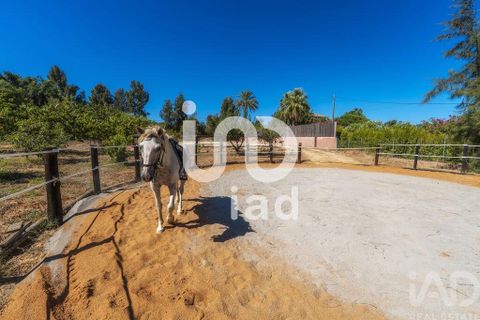 Byhus i Tavira, Faro, Tavira - € 1.399.000 | Ref: 148370 - foto 28