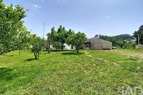 Byhus i Alcobaca, Leiria, Alcobaca - € 285.000 | Ref: 928929 - foto 26
