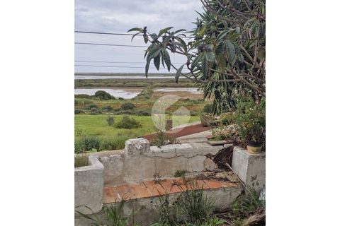 Villa a Moncarapacho, Faro, Moncarapacho - € 700.000 | Ref: 360P-1464 - foto 15