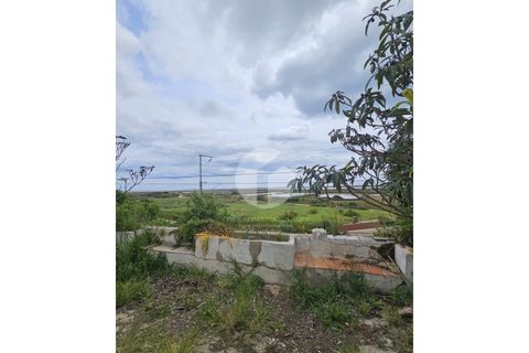 Villa a Moncarapacho, Faro, Moncarapacho - € 700.000 | Ref: 360P-1464 - foto 16