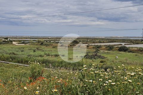 Villa a Moncarapacho, Faro, Moncarapacho - € 700.000 | Ref: 360P-1464 - foto 34