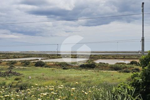 Villa a Moncarapacho, Faro, Moncarapacho - € 700.000 | Ref: 360P-1464 - foto 36