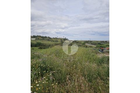Villa a Moncarapacho, Faro, Moncarapacho - € 700.000 | Ref: 360P-1464 - foto 37