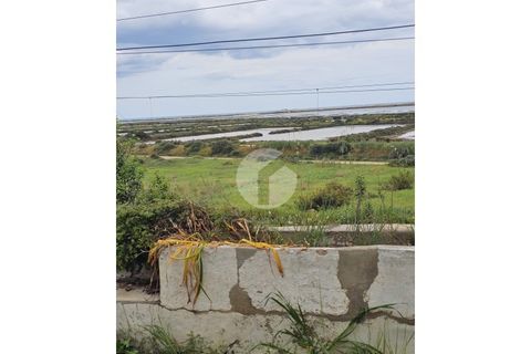 Villa a Moncarapacho, Faro, Moncarapacho - € 700.000 | Ref: 360P-1464 - foto 38